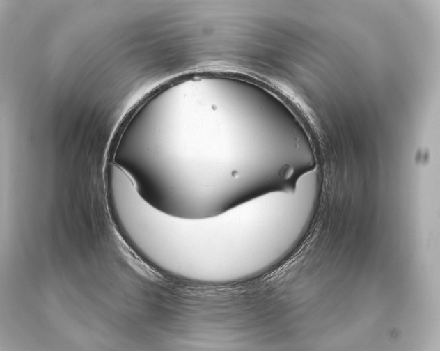 X0000093371372200711011219