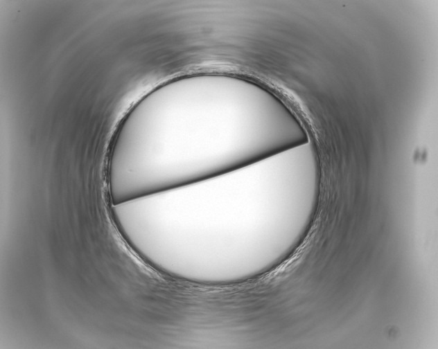 X0000093371373200711011219