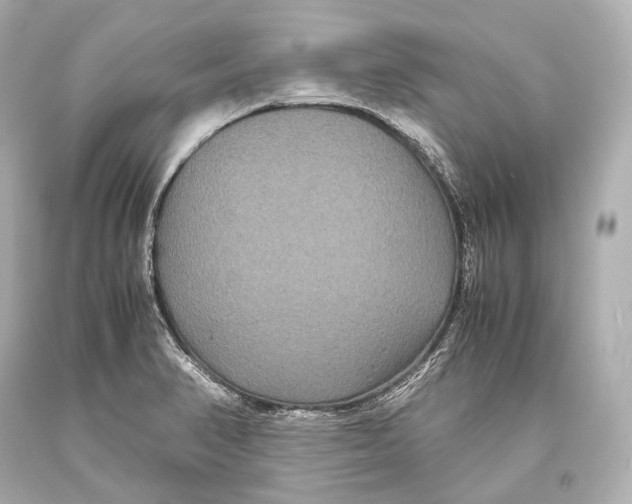 X0000093371374200711011219