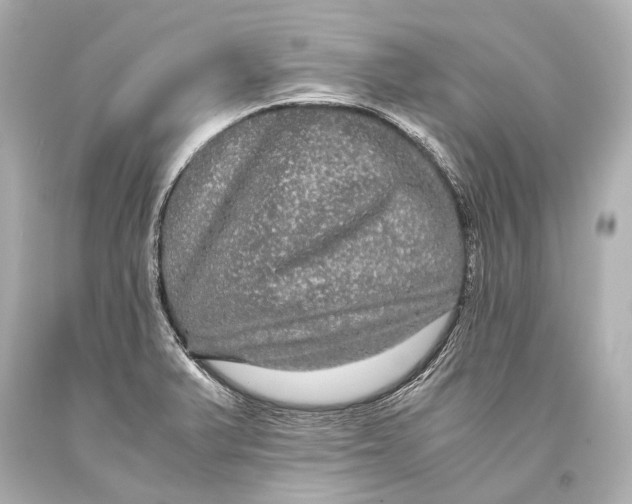 X0000093371375200711011219