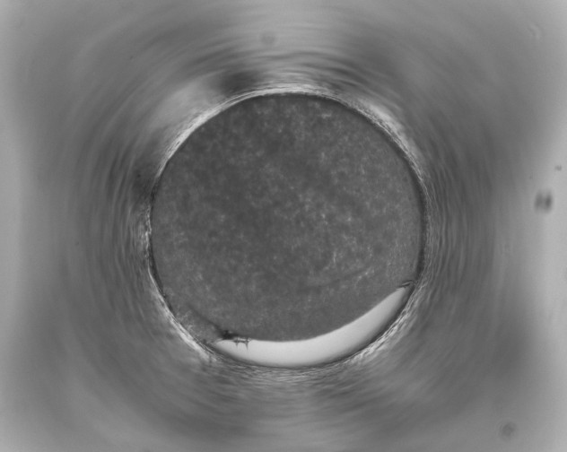 X0000093371377200711011219