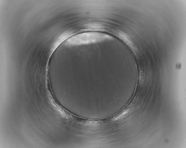 X0000093371378200711011219