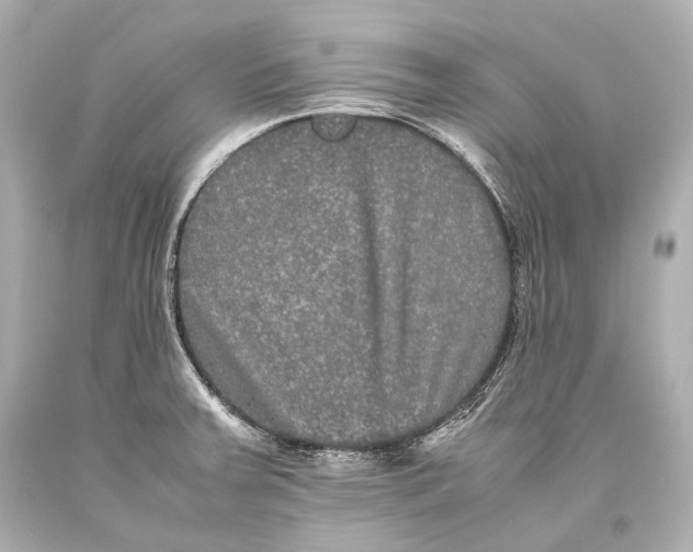 X0000093371379200711011219