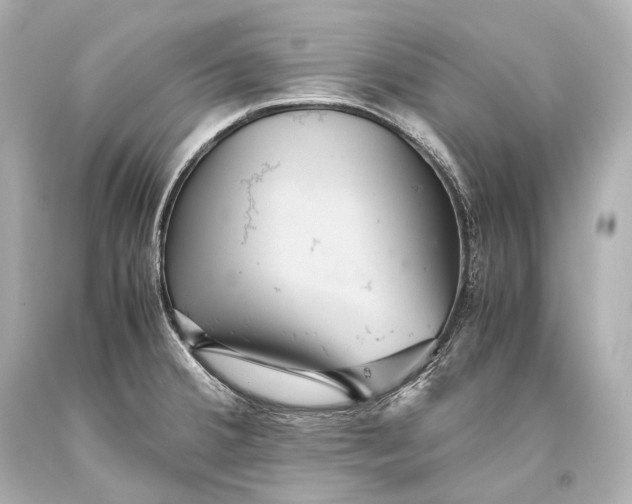 X0000093371380200711011219