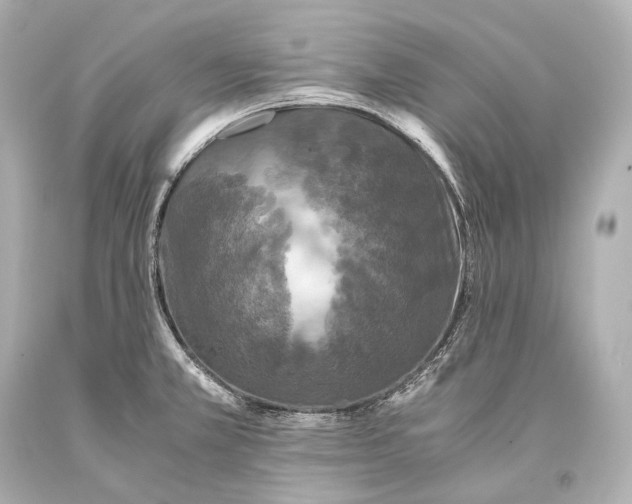 X0000093371381200711011219