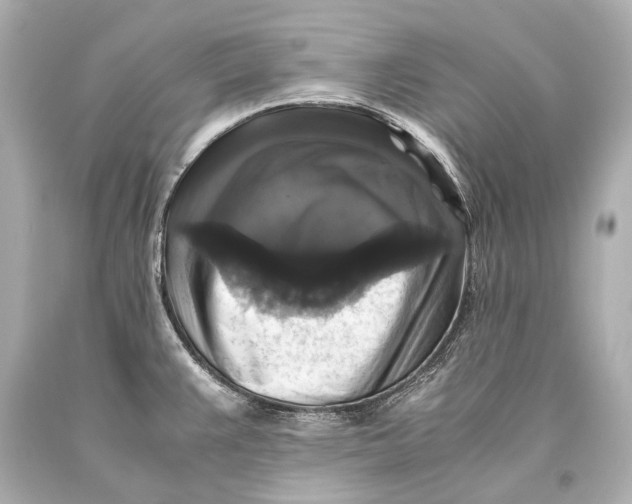 X0000093371383200711011219