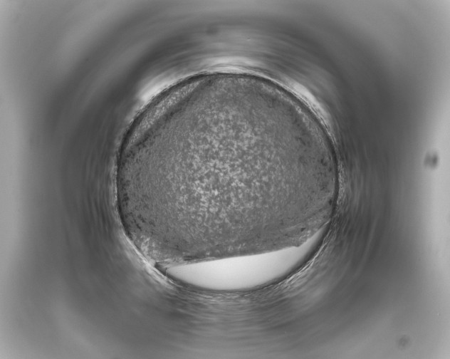 X0000093371384200711011219