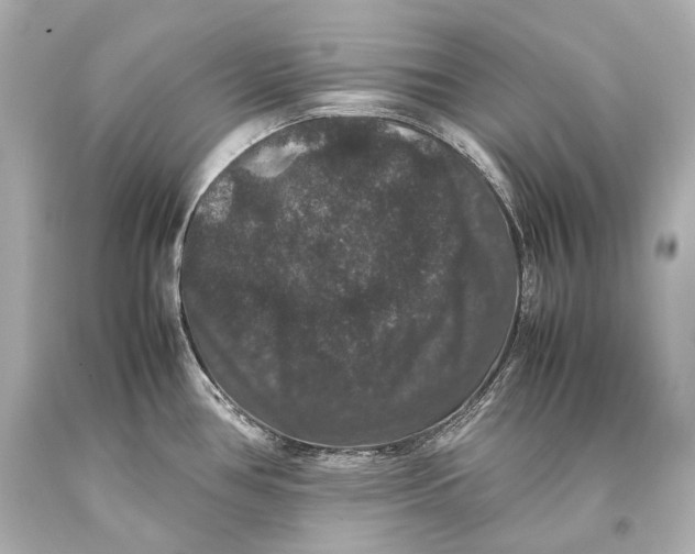 X0000093371386200711011219