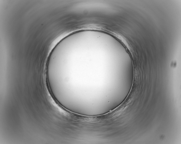 X0000093371387200711011219