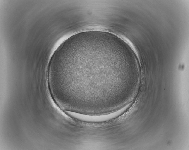 X0000093371389200711011219