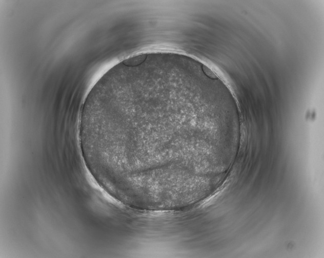 X0000093371390200711011219