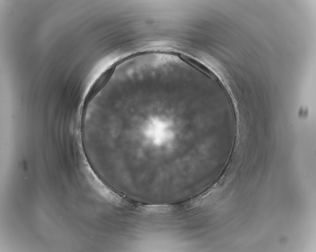 X0000093371392200711011219