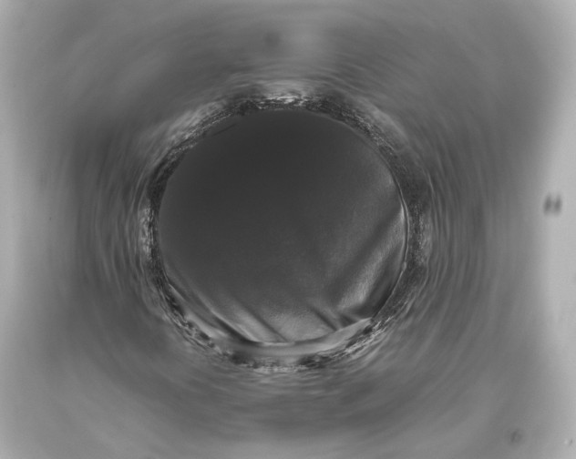 X0000093371394200711011218