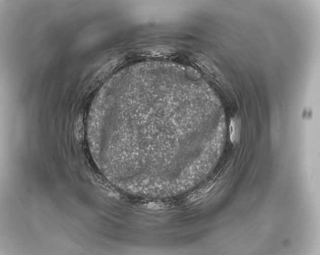 X0000093371395200711011218