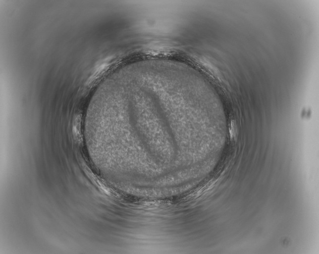 X0000093371396200711011218