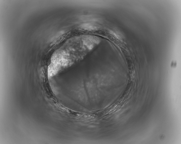 X0000093371397200711011218