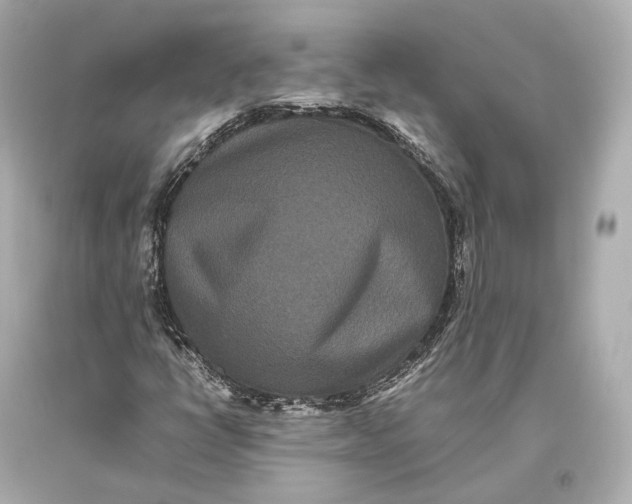 X0000093371398200711011218