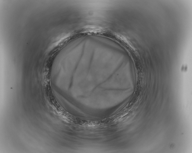 X0000093371399200711011218