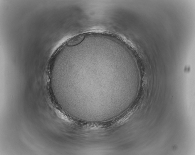 X0000093371400200711011218