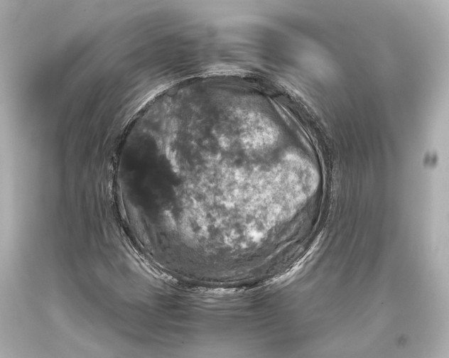 X0000093371401200711011218