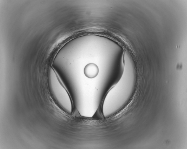 X0000093371402200711011218