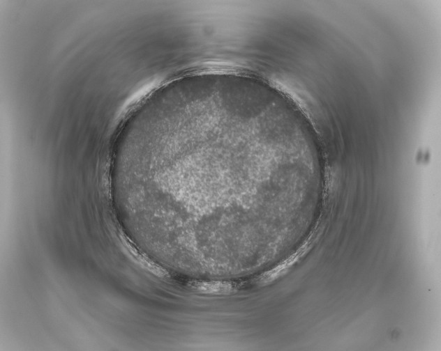 X0000093371403200711011218