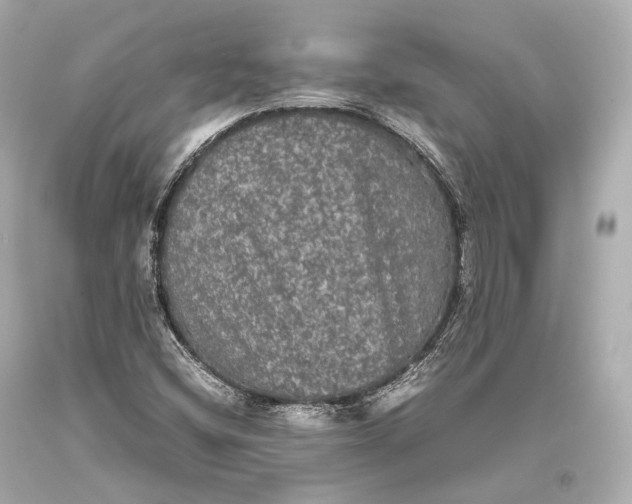 X0000093371404200711011218