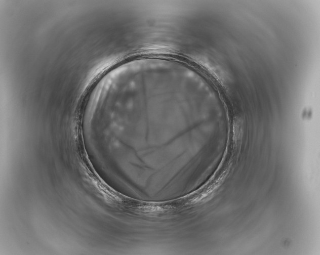 X0000093371405200711011218