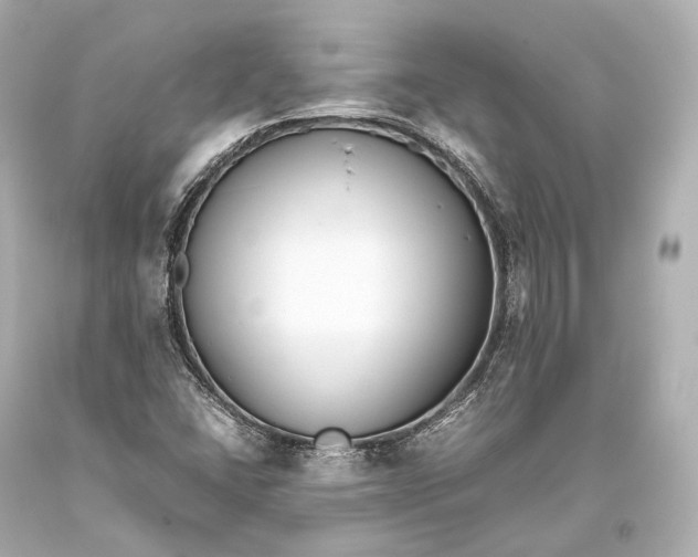 X0000093371406200711011218