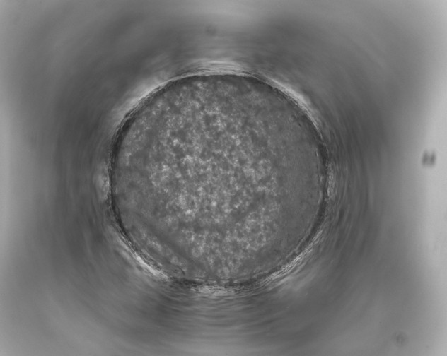 X0000093371407200711011218