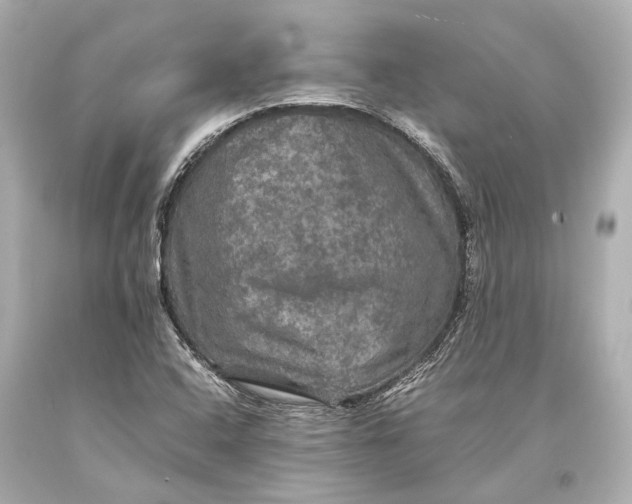 X0000093371408200711011218