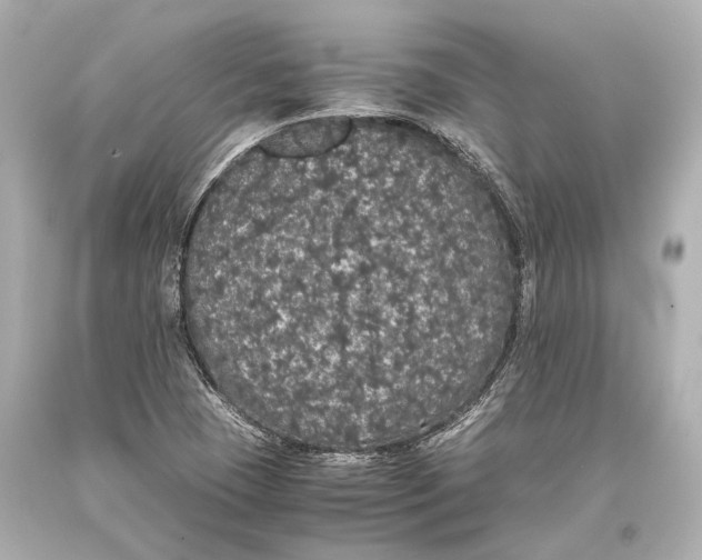 X0000093371409200711011218