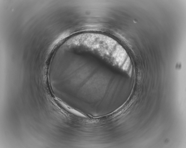 X0000093371411200711011219