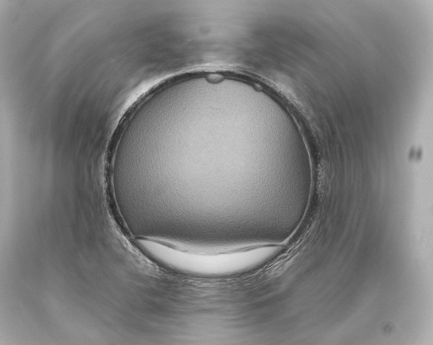 X0000093371412200711011219