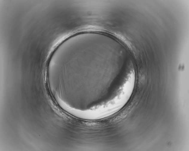 X0000093371413200711011219