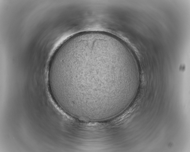 X0000093371416200711011219