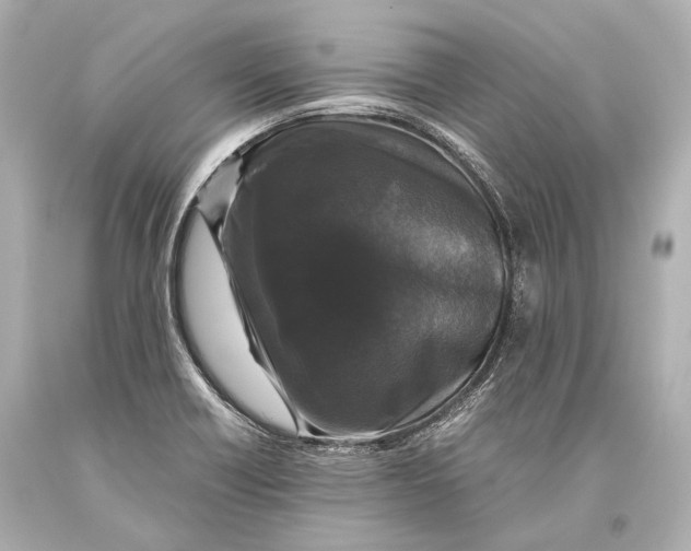 X0000093371418200711011219