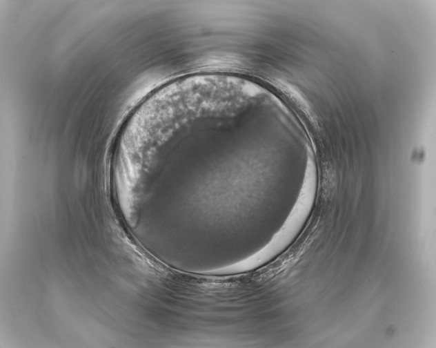 X0000093371419200711011219