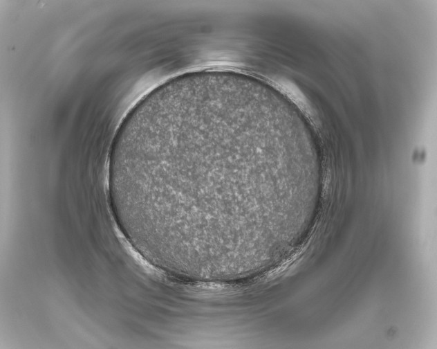 X0000093371420200711011219