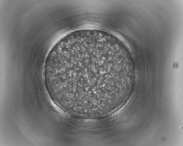 X0000093371421200711011219