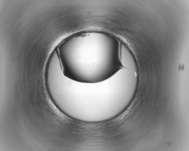 X0000093371422200711011219