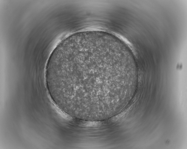 X0000093371423200711011219