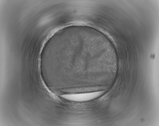 X0000093371424200711011219