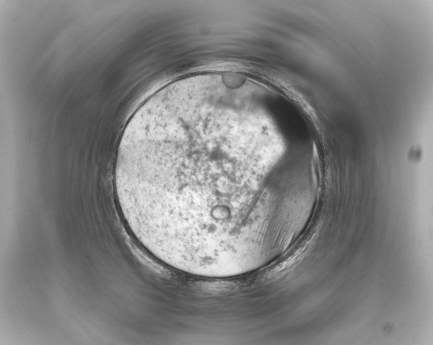 X0000093371425200711011219