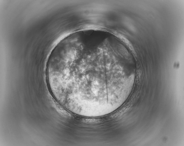 X0000093371427200711011219