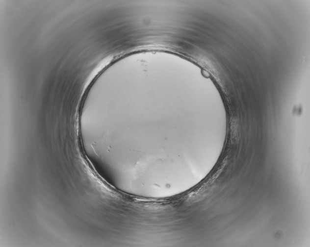 X0000093371428200711011219