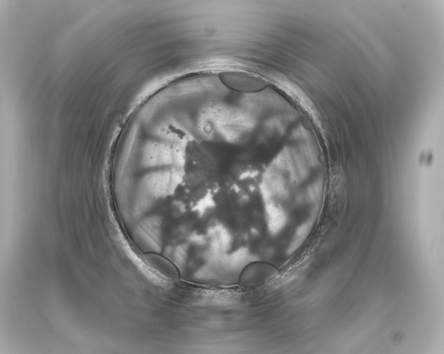 X0000093371429200711011219