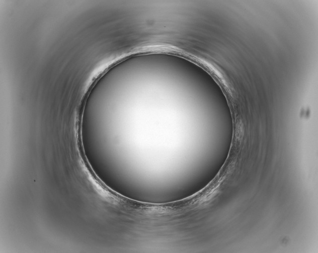 X0000093371430200711011219