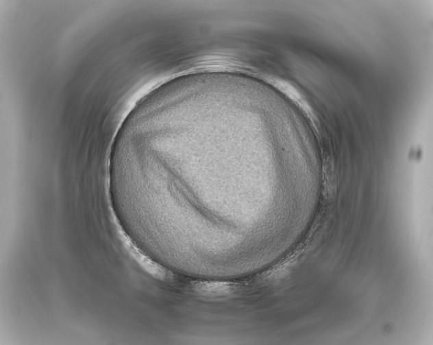 X0000093371431200711011219