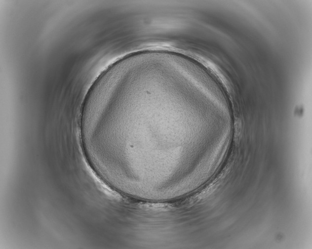 X0000093371432200711011219